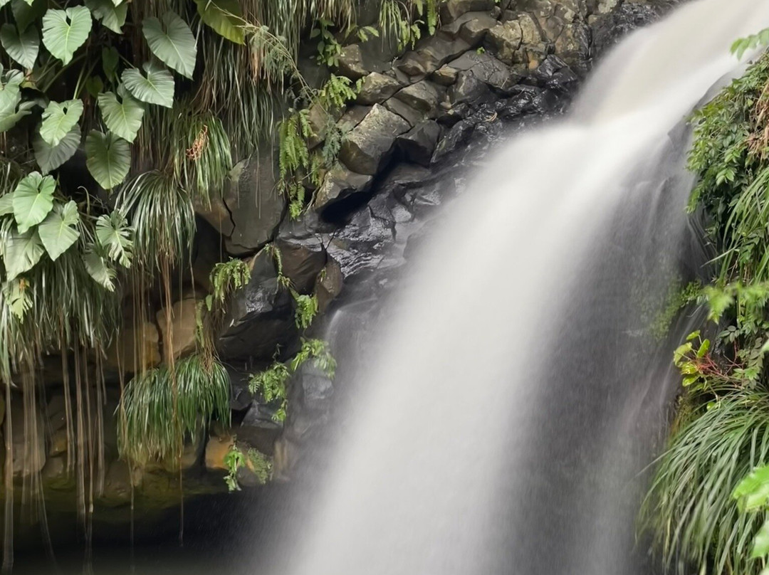 Executive Taxi & Tours (Island Tours)-St. George's必去景点