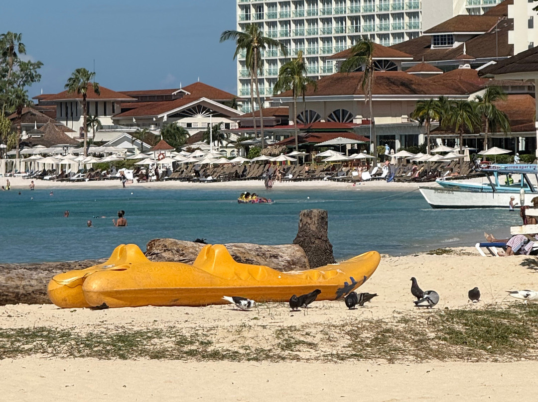 Ocho Rios Bay Beach (Turtle Beach)-奥乔里奥斯必去景点