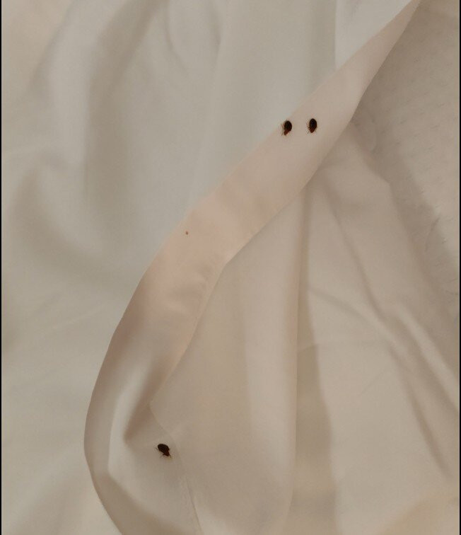 埃里卡酒店主图