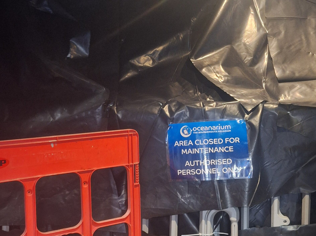 Oceanarium-伯恩茅斯必去景点