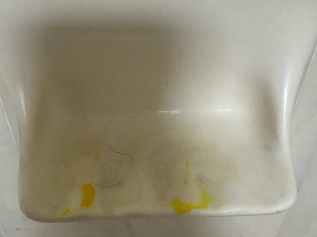 Super 8 by Wyndham Knoxville West/Farragut主图