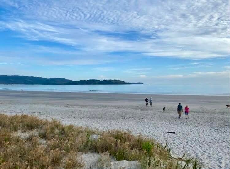 Omaha Beach-瓦卡沃夫必去景点