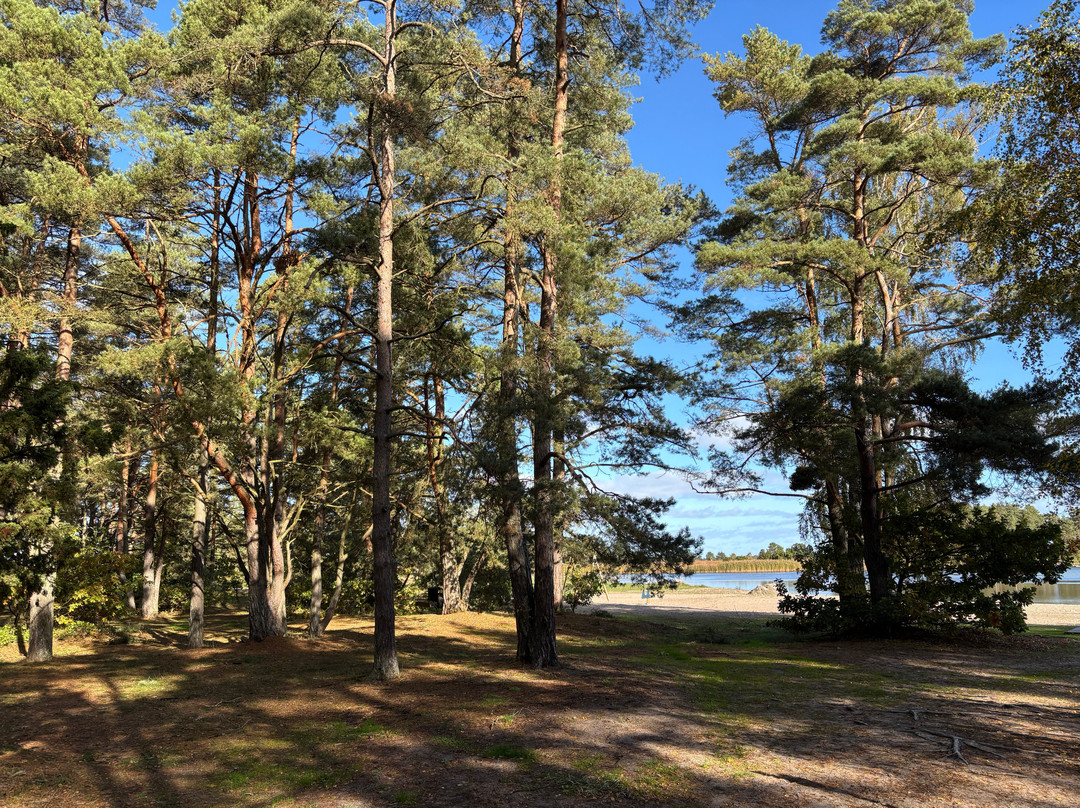 Naturreservatet Örarevet