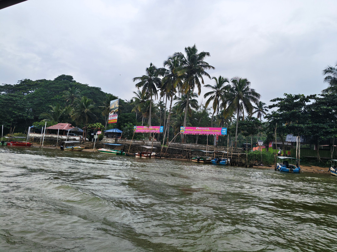 Paradise Holidays-柯钦必去景点