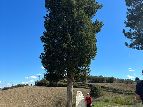 RAW Travel-墨尔本必去景点