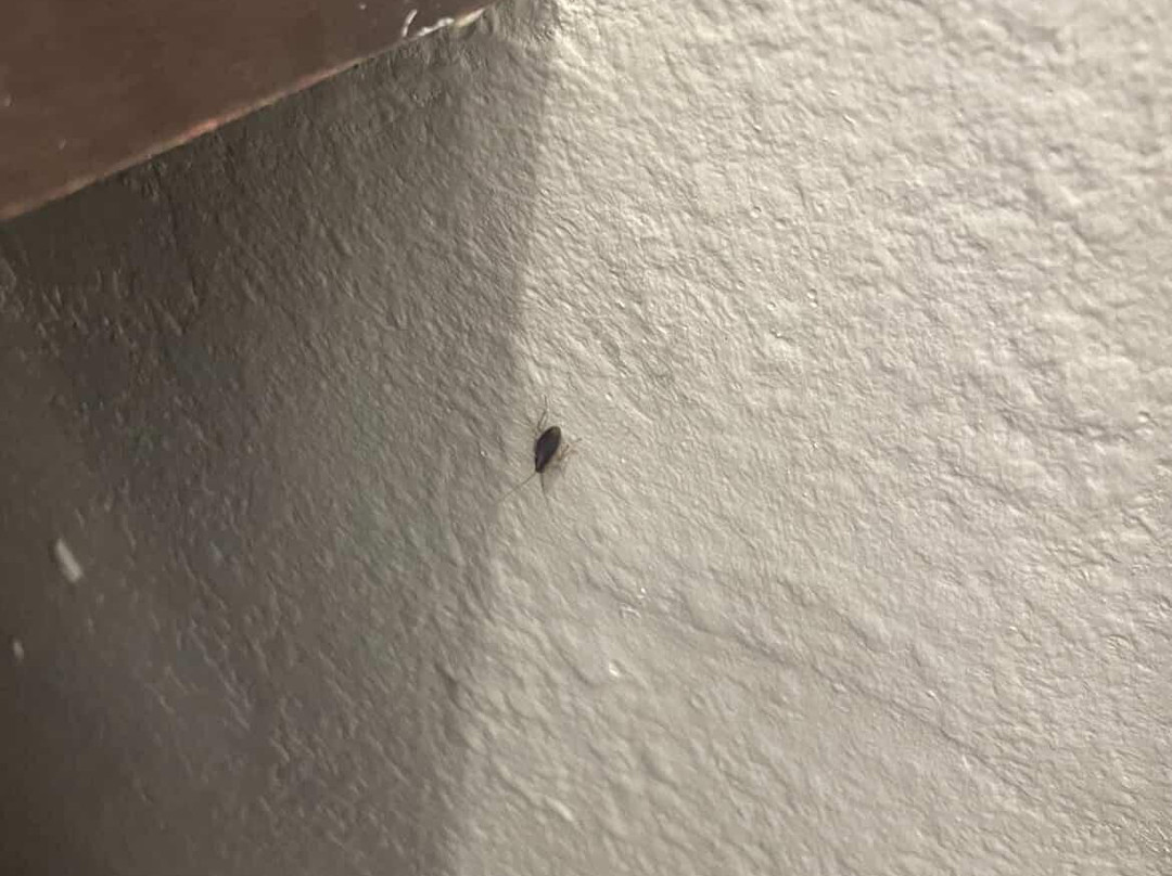 奥兰治拉金塔旅馆&套房酒店主图