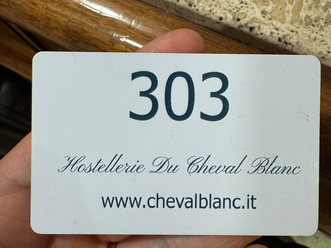 霍斯特利都迪娃布朗克酒店主图