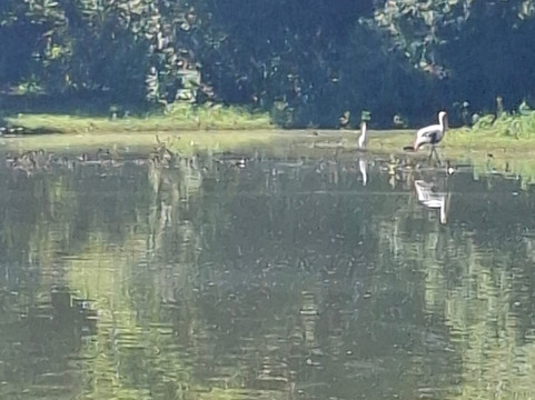 Nimtharu Tours-瓦勒迦玛必去景点