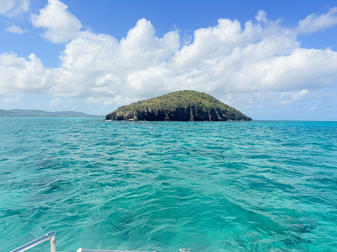 Big Beard's Adventure Tours-Christiansted必去景点