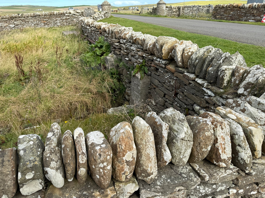 My Orkney Tours-柯克沃尔必去景点