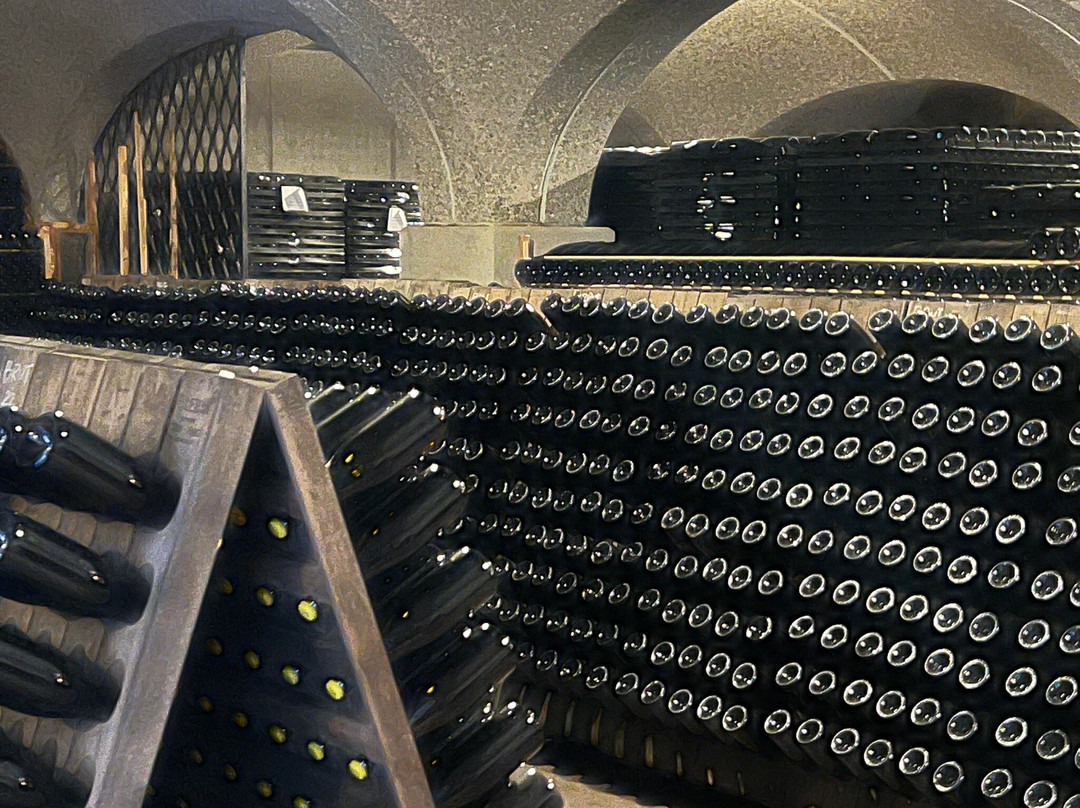 Società Agricola Castelveder-Monticelli Brusati必去景点