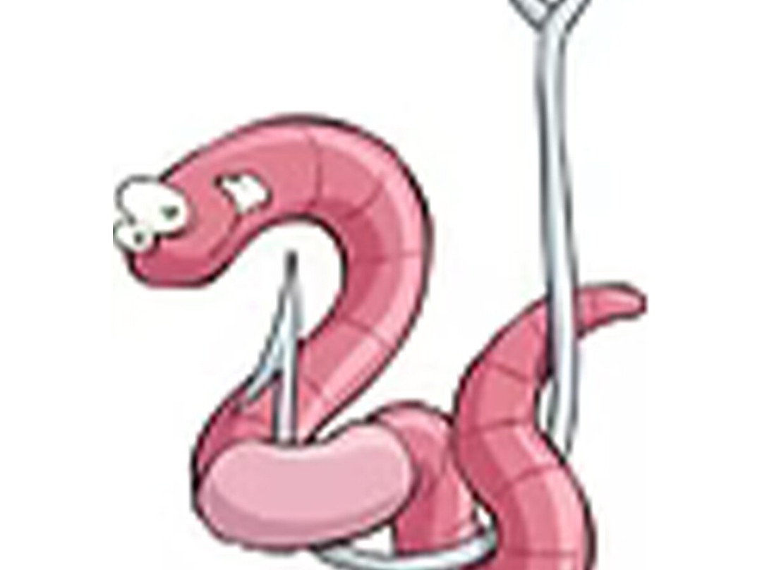 Kate's Bait & Sporting Goods