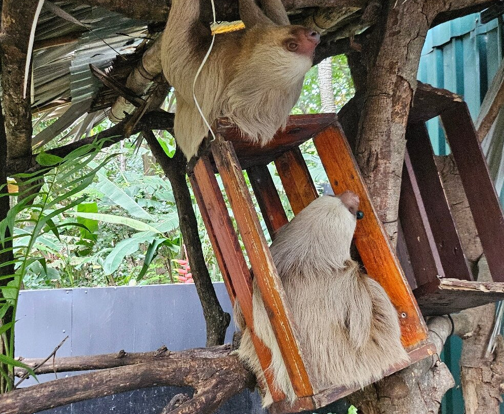 Refugio Animal De Costa Rica-圣安娜必去景点