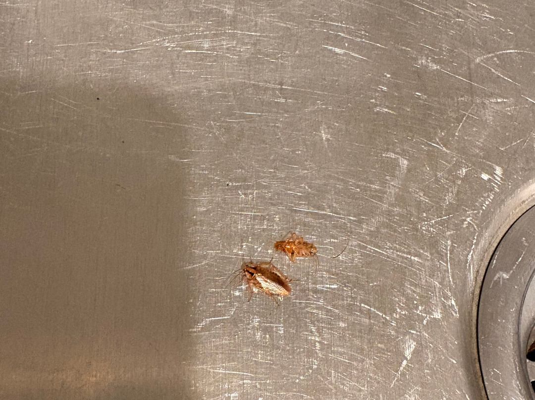 Extended Stay America Select Suites - Kalamazoo - West主图