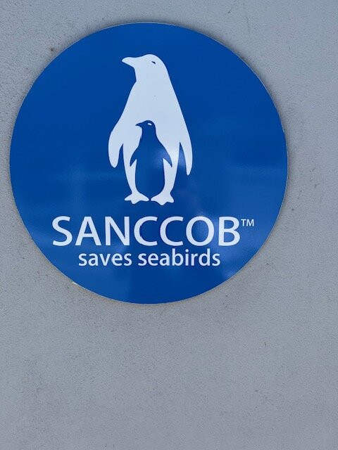 SANCCOB Seabird Rehabilitation Centre-Table View必去景点