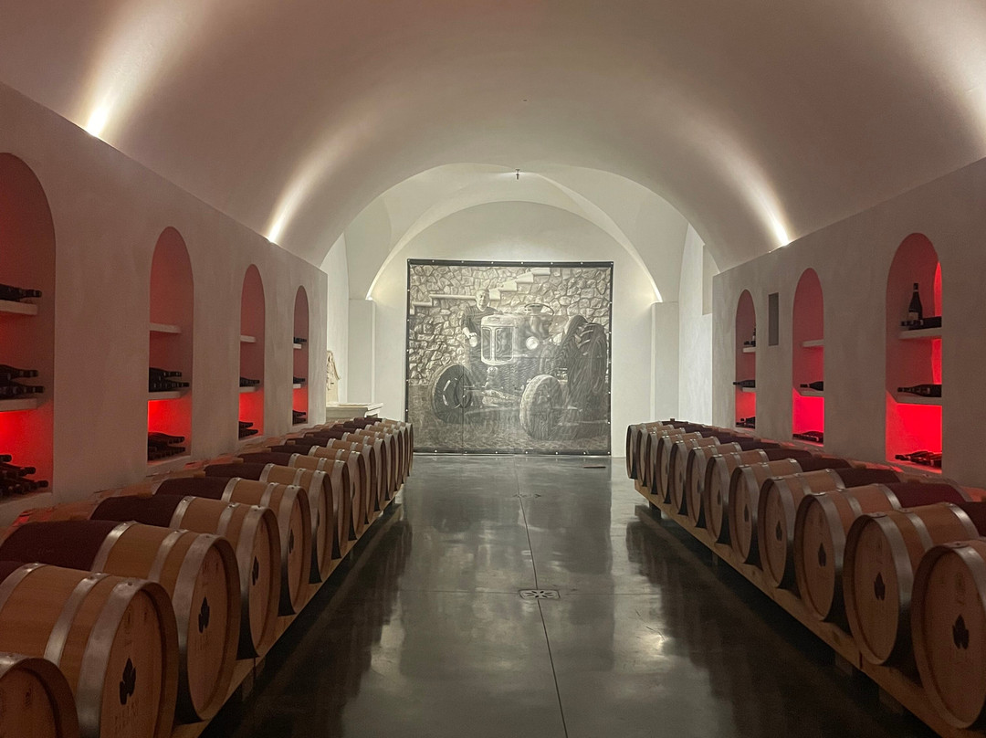 Agricola Pietro Zardini-San Pietro in Cariano必去景点