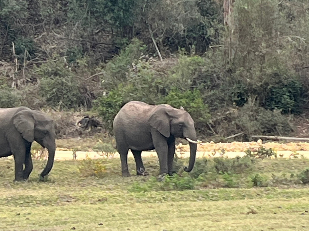 Sizanani Adventure Tours-开普敦必去景点