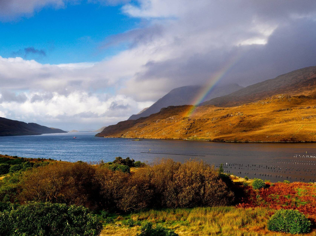 Delphi Fishing School-Delphi必去景点