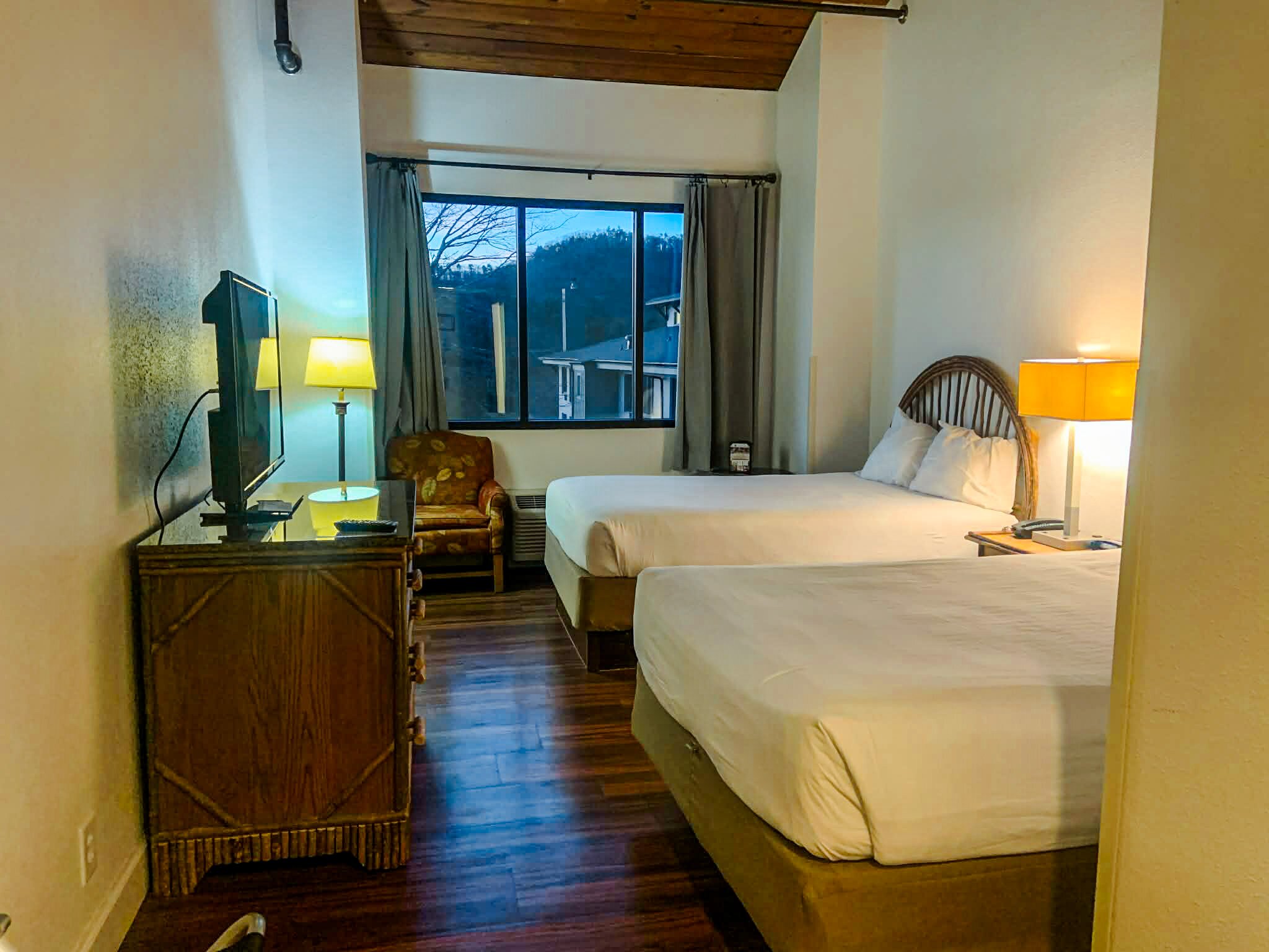 Unicoi State Park & Lodge-客卧