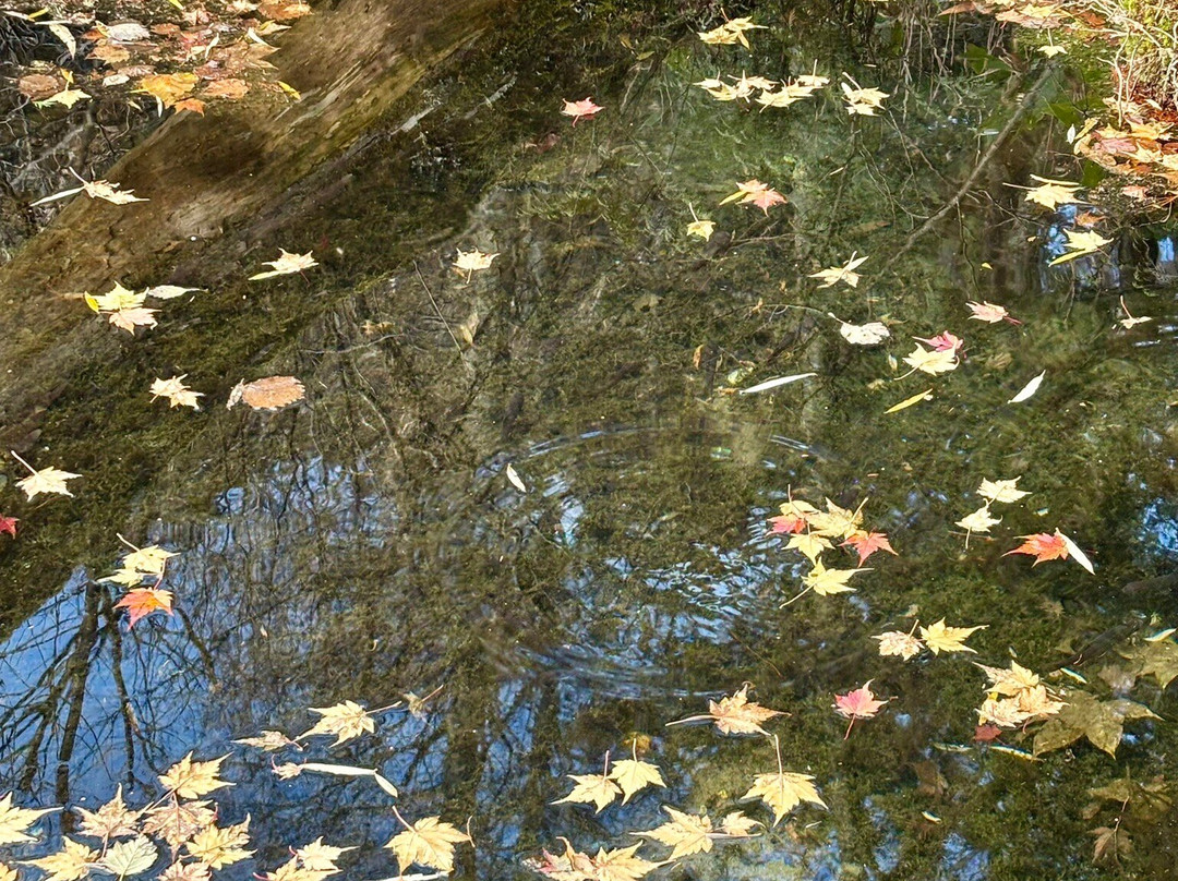 Natureguide Fivesense-松本市必去景点