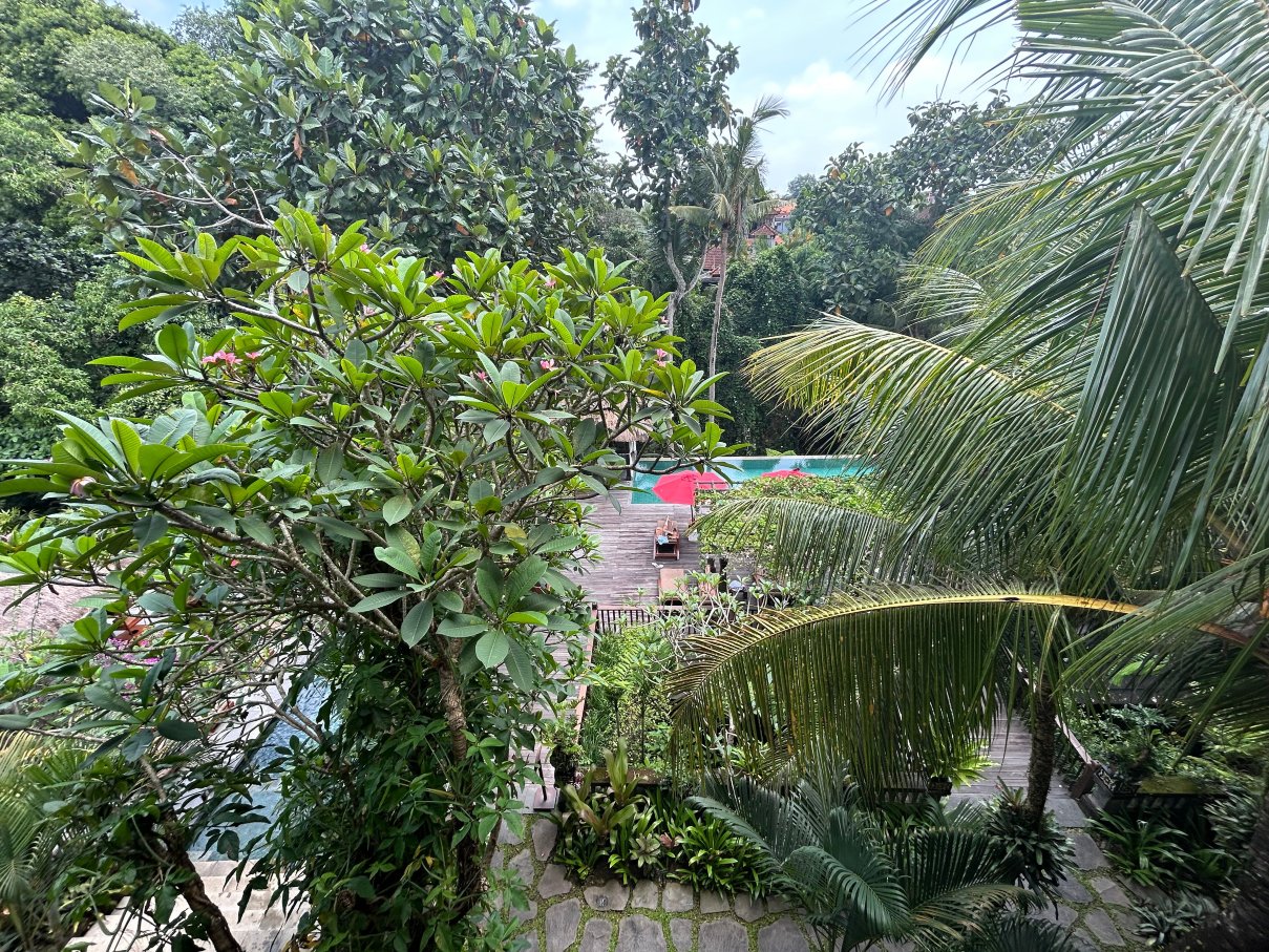 真巴湾阿迪瓦纳度假村-泳池