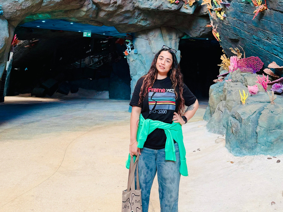 SeaWorld Yas Island Abu Dhabi-阿布扎比必去景点