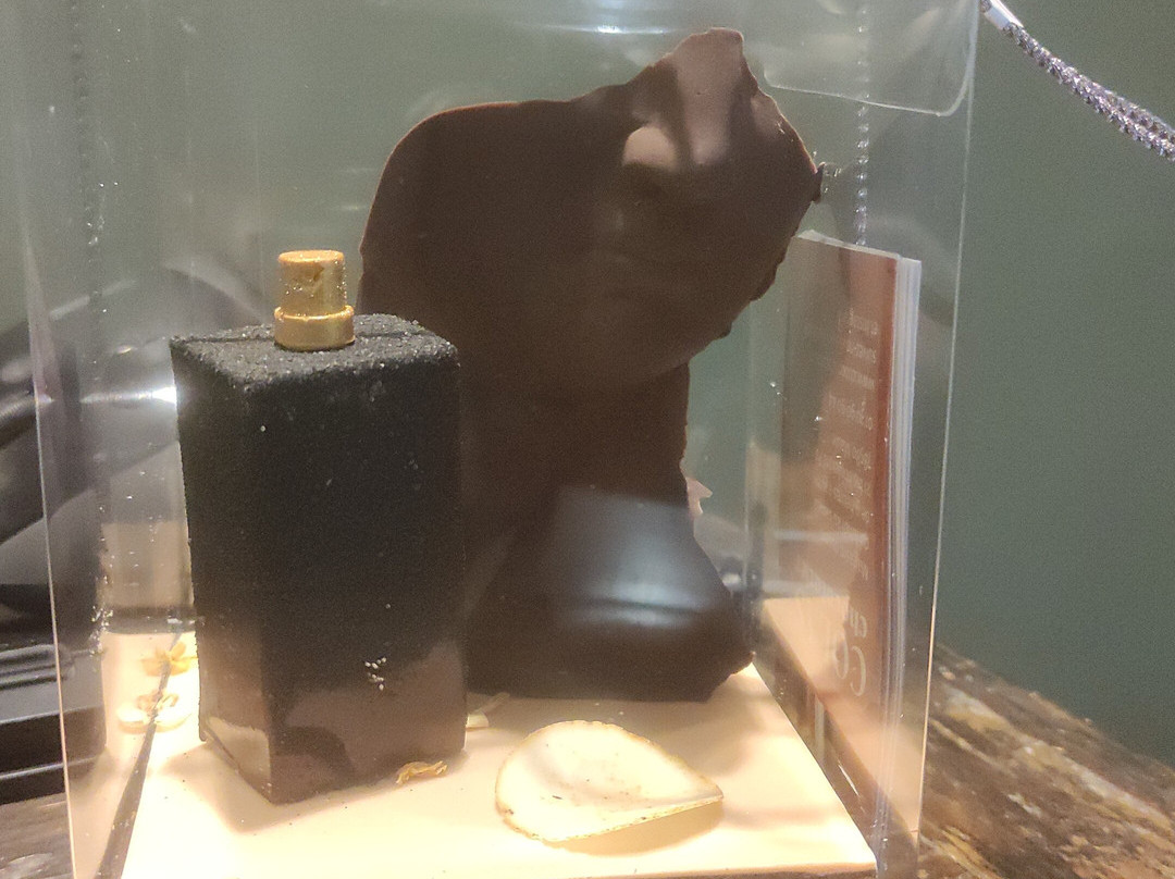 Chocolats Colas-Maule必去景点