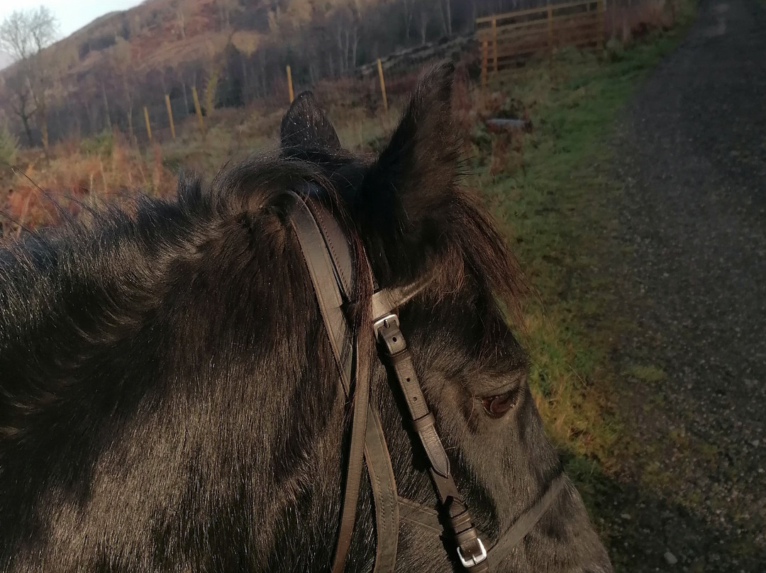 Fell Pony Adventures-温德米尔必去景点