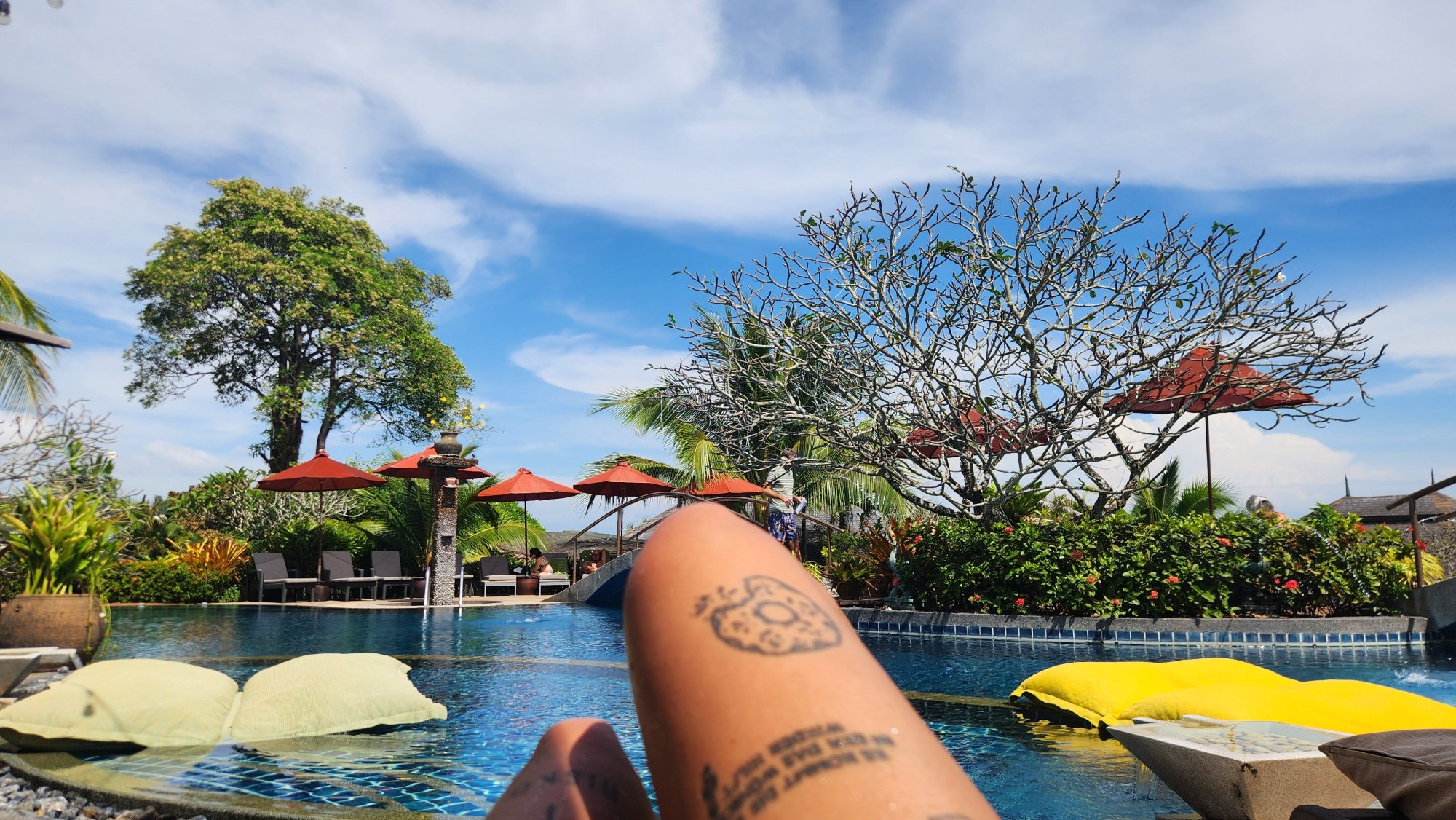 金色郁金香山竹温泉度假村-官方