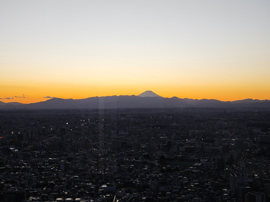 NIPONEANDO-涩谷区必去景点