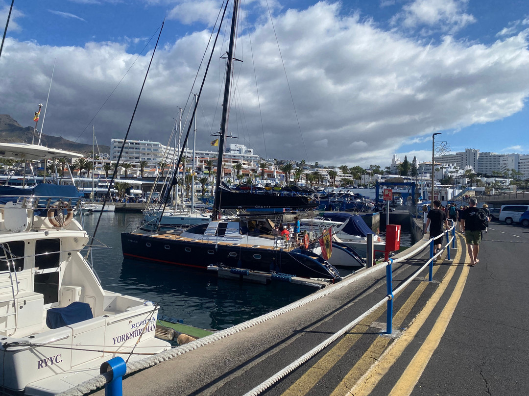 White Tenerife-奥德杰海岸必去景点