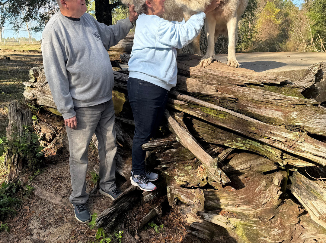 Seacrest Wolf Preserve-Chipley必去景点