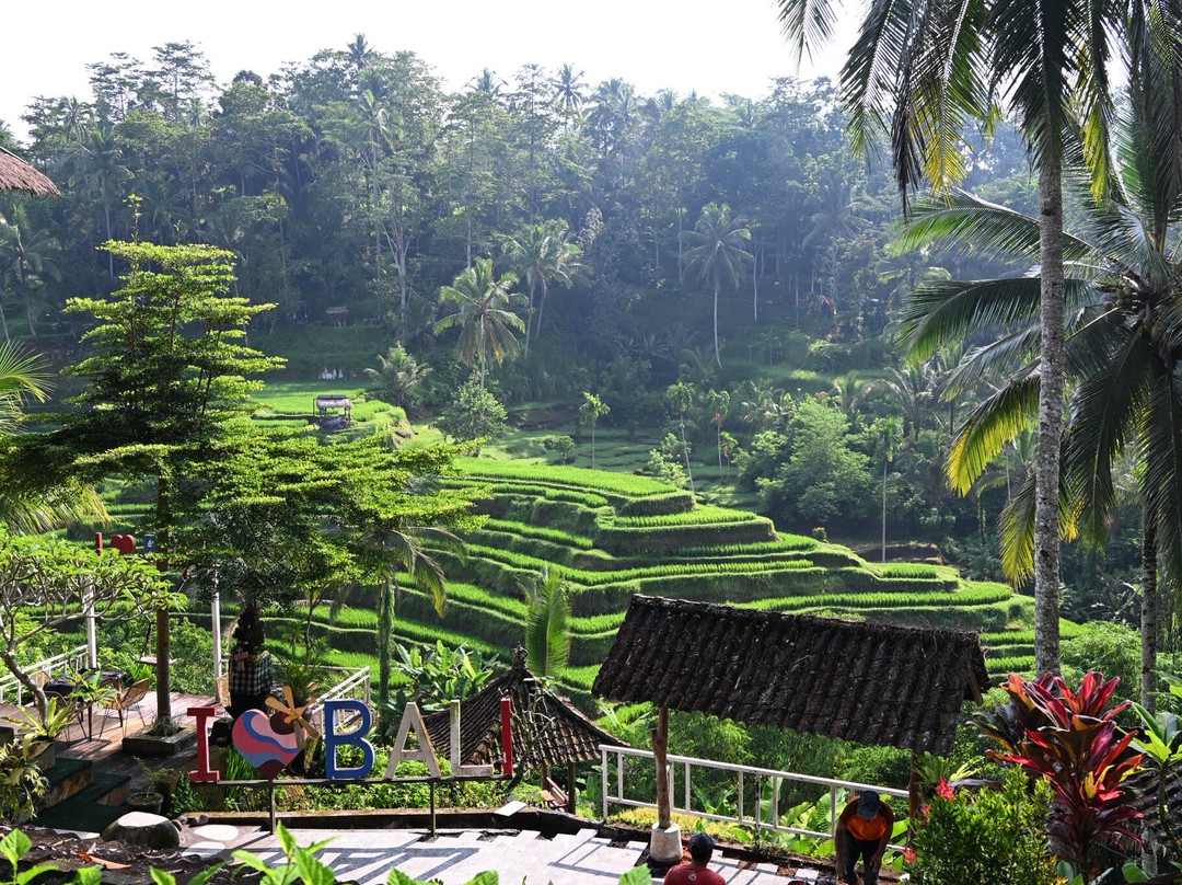 Green Bikes Bali-达巴南必去景点