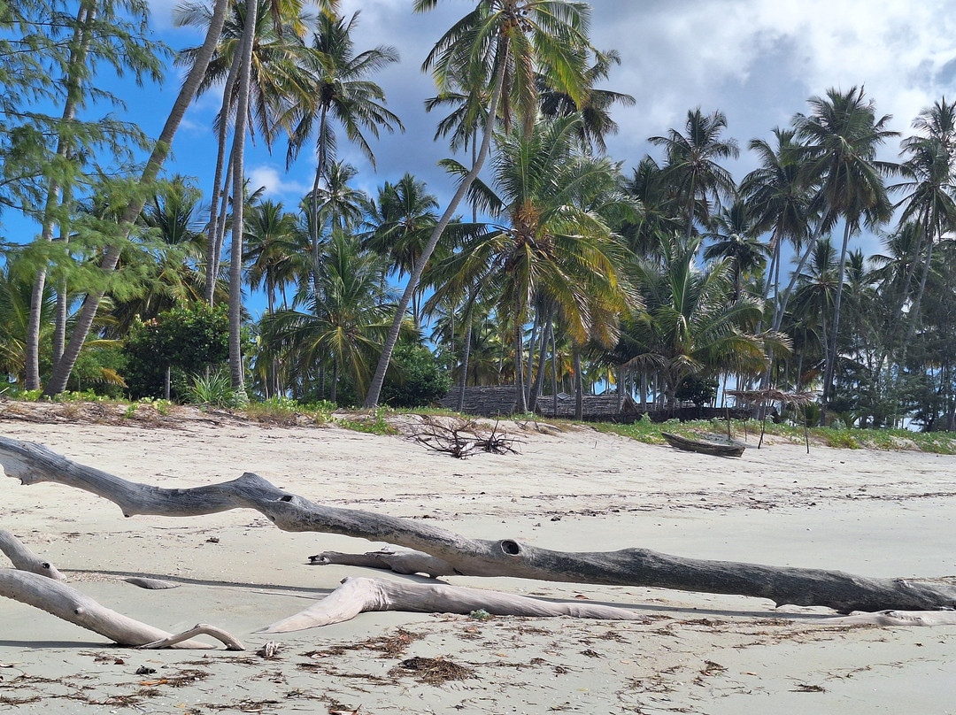 Kanga Beach Paradise