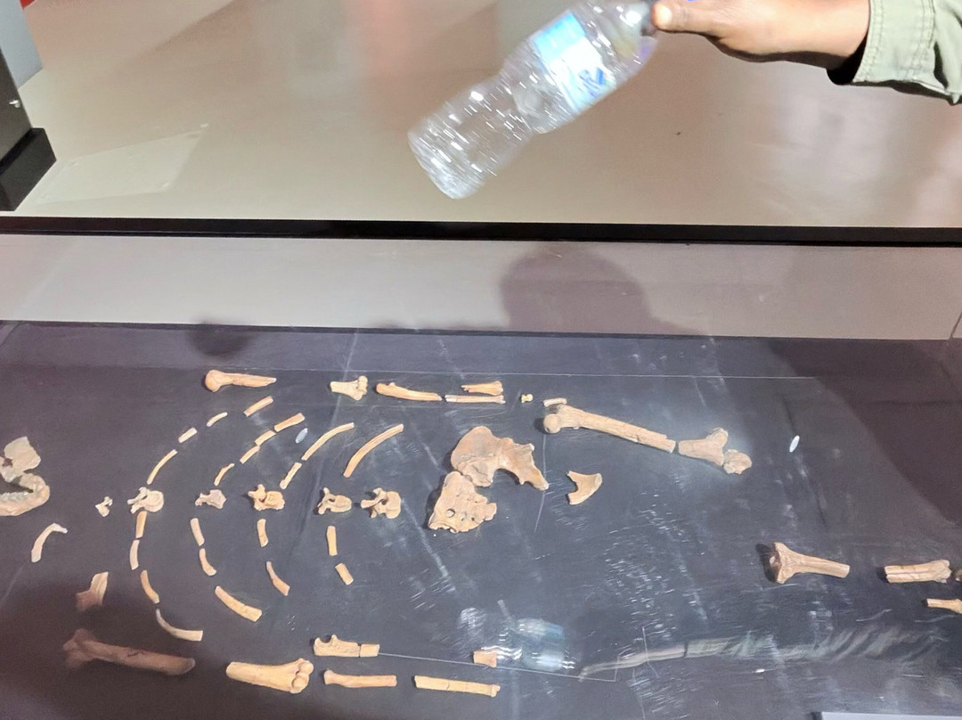 East Africa Tour Operator-亚的斯亚贝巴必去景点