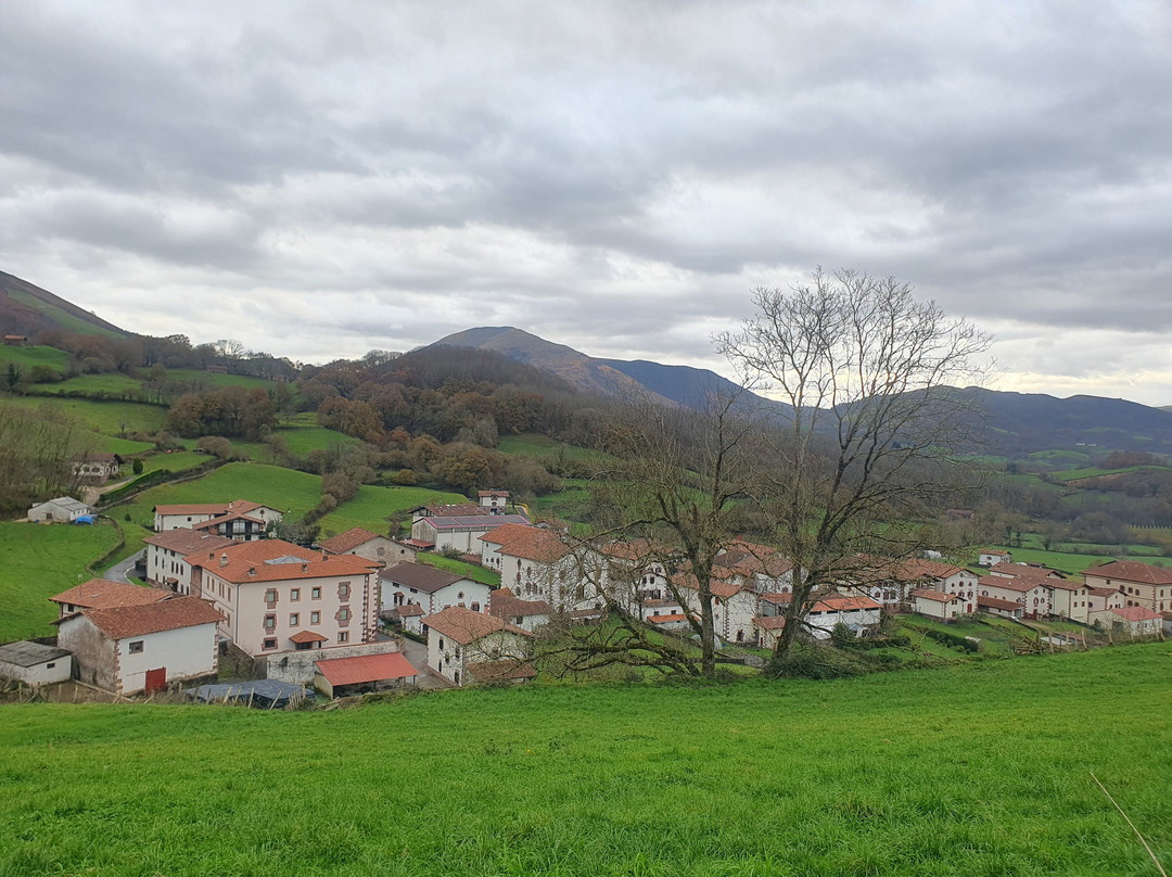 Navarra excursiones-潘普洛纳必去景点