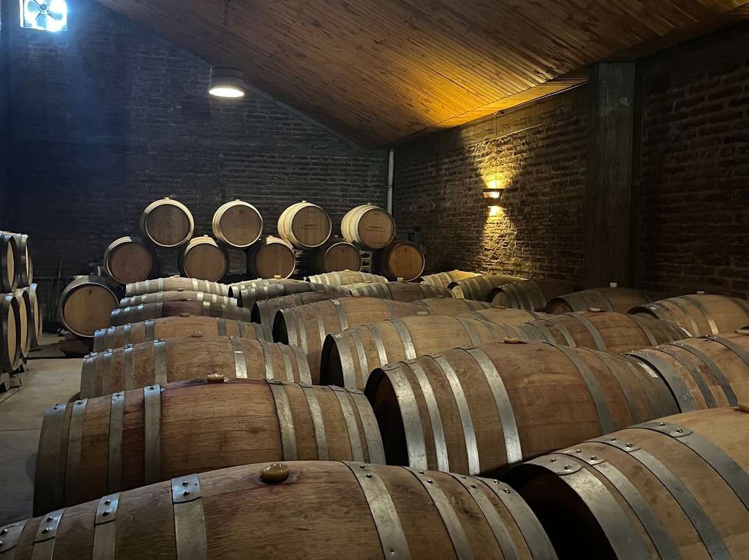 Vina Aquitania-圣地亚哥必去景点