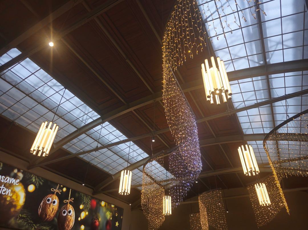 Basel SBB Station-巴塞尔必去景点