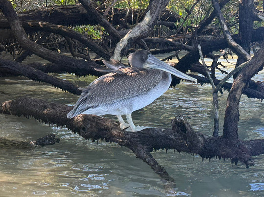 The Wall of Tears-维里亚米尔港必去景点