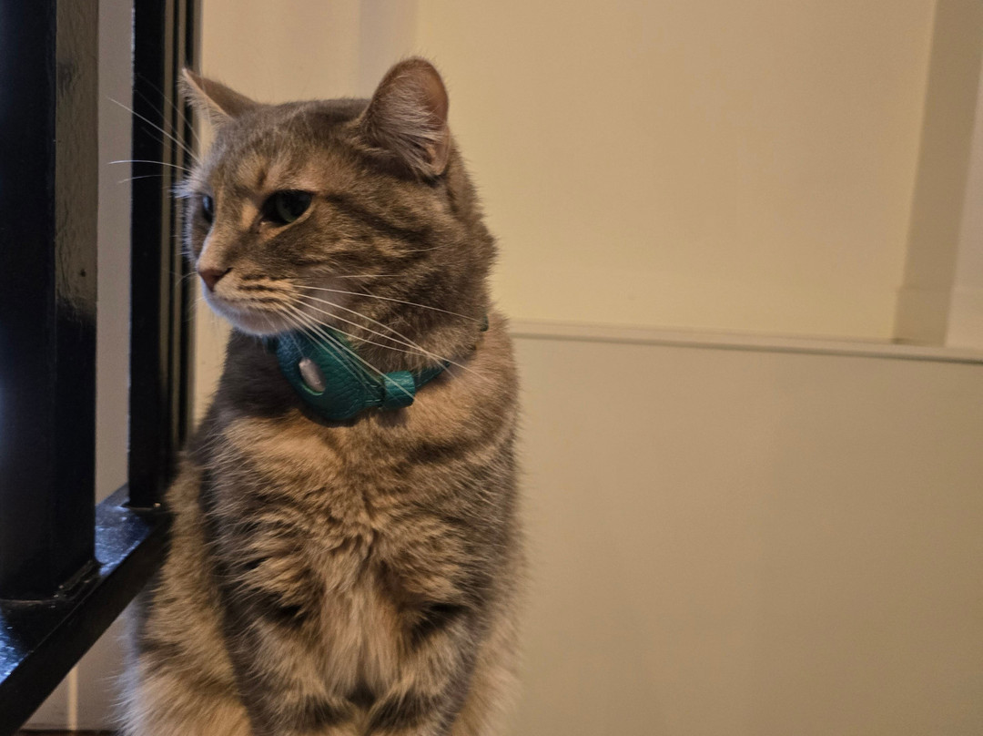 O'Sullivans Grenoble