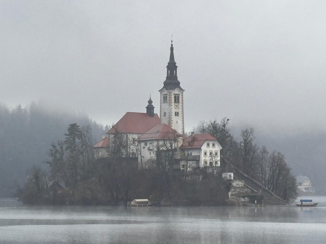 Bled Rose Hotel主图