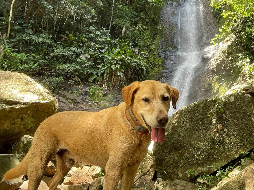 Cachoeira Dos Ventura-Praia Grande必去景点