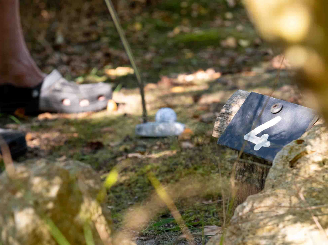 L'escale Sud Gironde主图