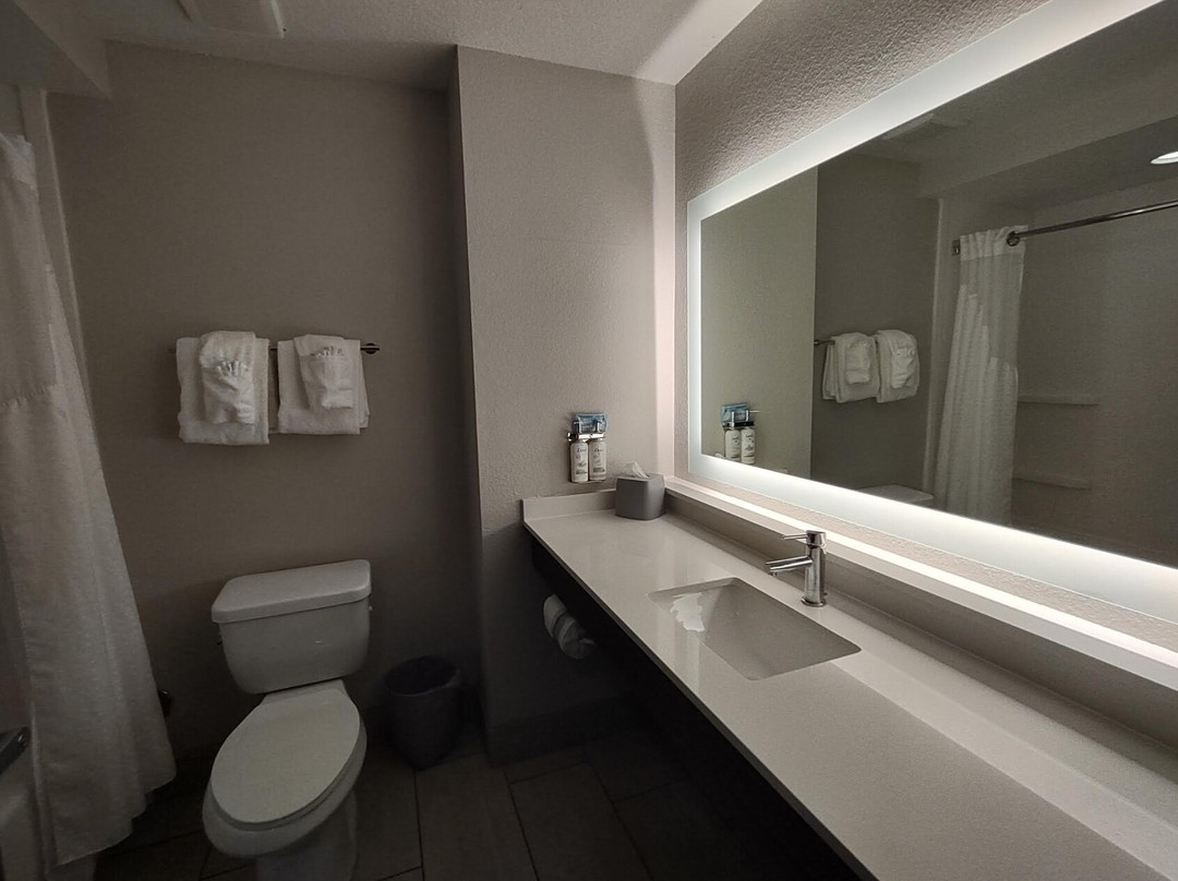 水晶河快捷假日酒店主图