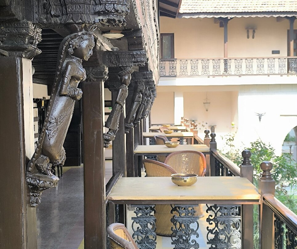 Tree Of Life Darbargadh Dared Gujarat主图