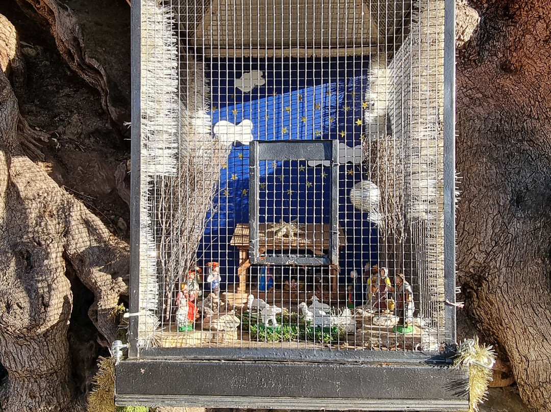 L'Olivier Millénaire-罗克布伦第马丁必去景点