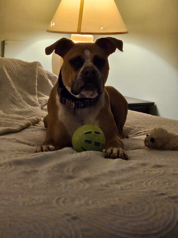 Hotel Coolidge-官方