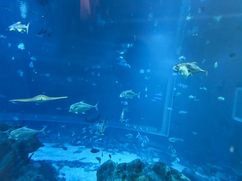 新加坡圣淘沙名胜世界-逸濠别墅主图