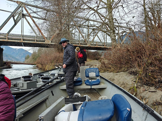 Skagit River Eagle Tours-Rockport必去景点
