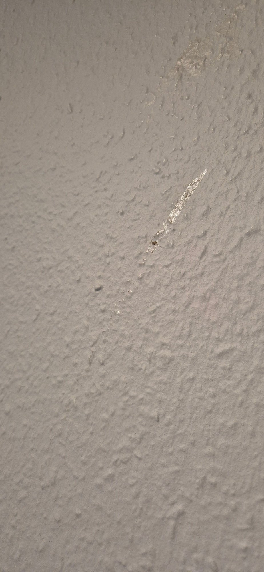 丹普木赫酒店-官方